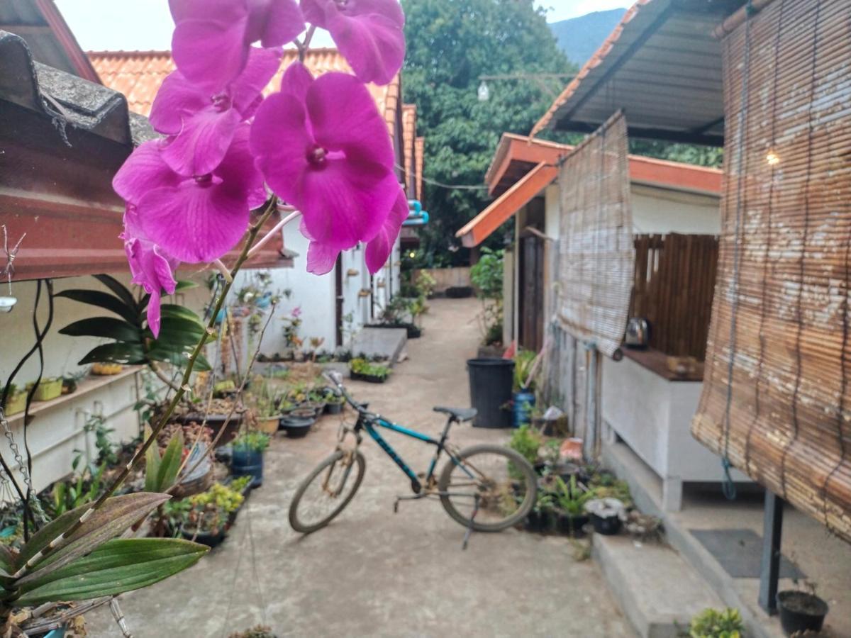 Pdv Guesthouse Muang Ngoi Bagian luar foto